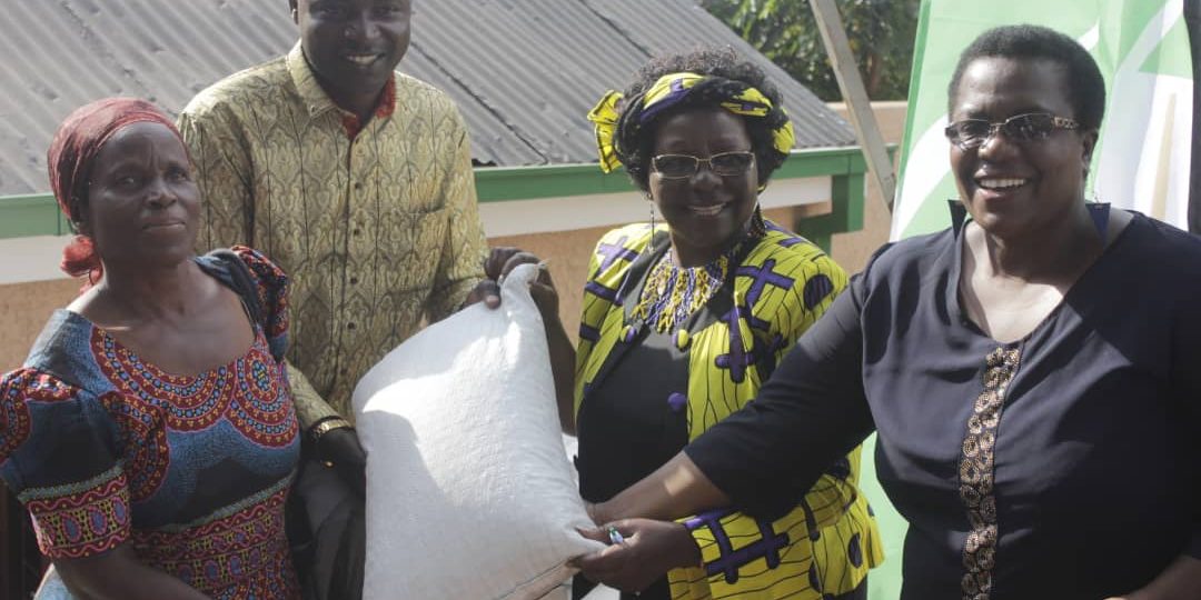 PHOTO-2019-03-19-17-31-44