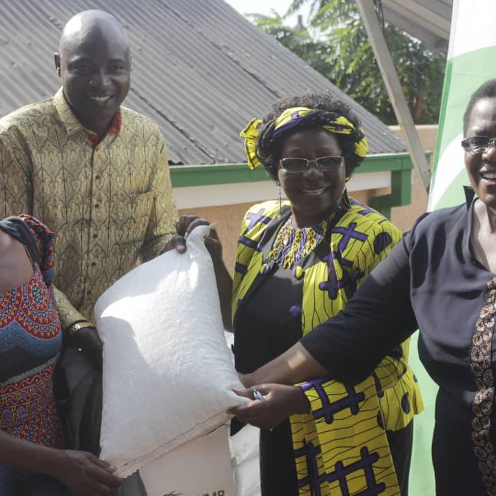 PHOTO-2019-03-19-17-31-44