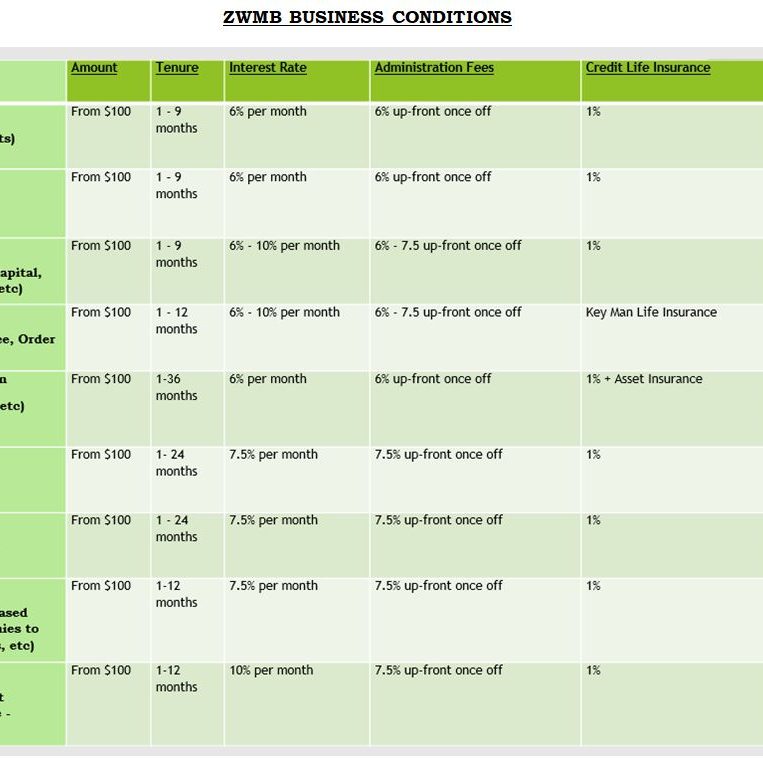ZWMB BUSINESS CONDITIONS
