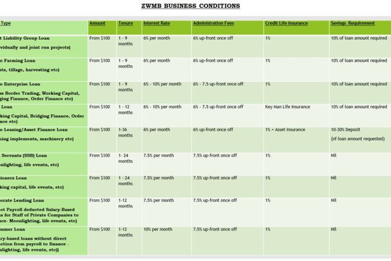 ZWMB BUSINESS CONDITIONS